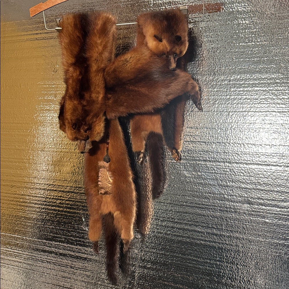 Vintage Mink Stole of 4.